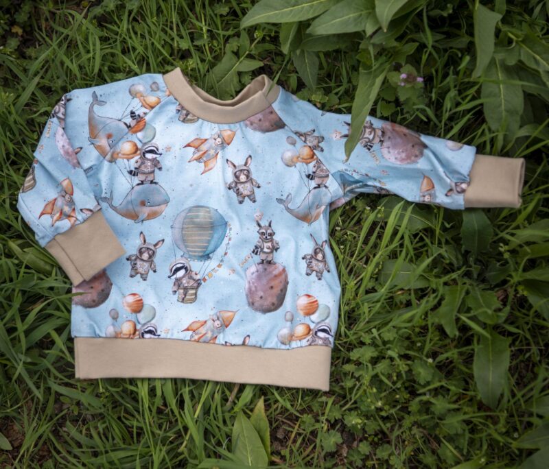 Sweater Dachs im All