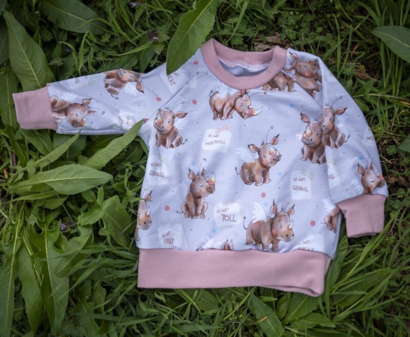 Sweater Nashörnchen