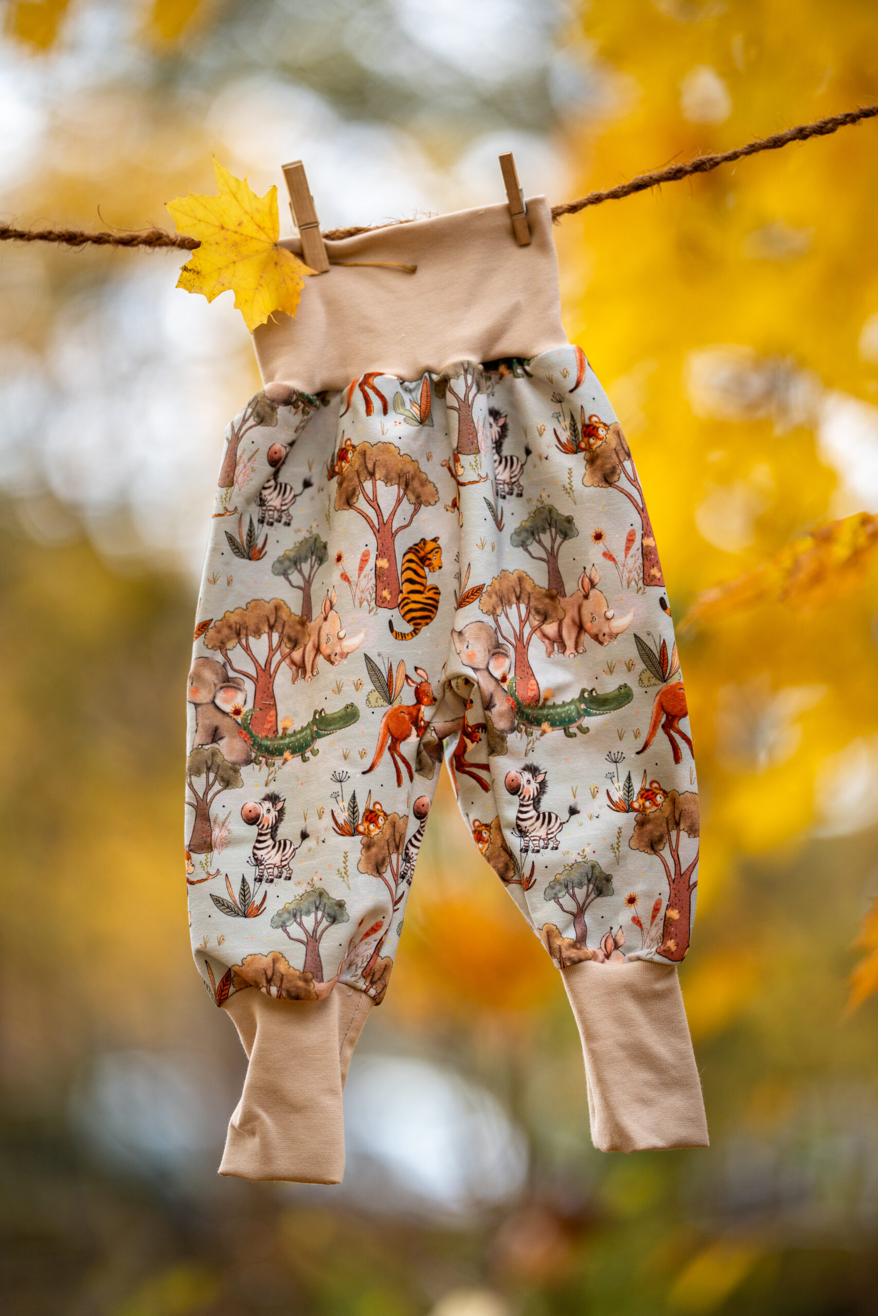 DSC02759 DSC02759 scaled